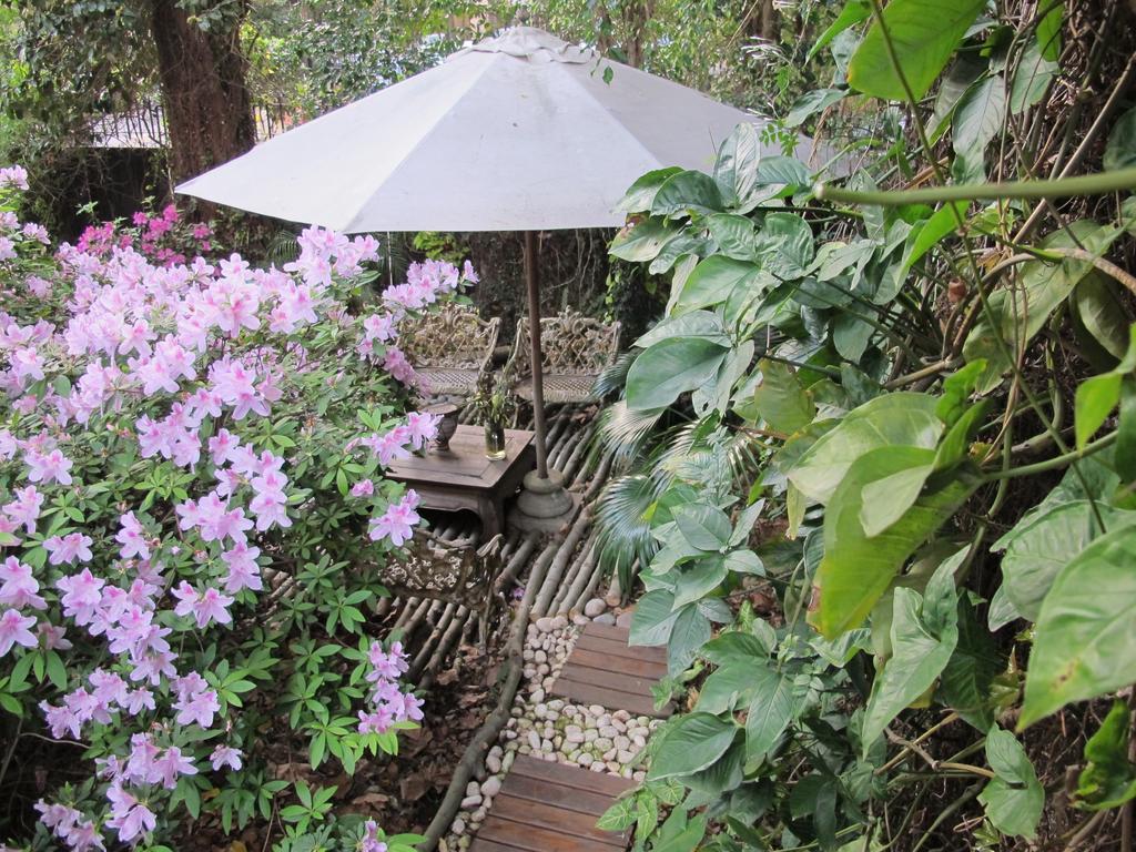 La Casona De Grace Bed and Breakfast Olivos Buitenkant foto